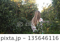 Beautiful girl with long blonde hair walking in orange orchard with dog 135646116