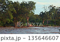 River flooding in Greater Kruger national park, South Africa 135646607