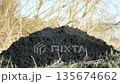 Mole Talpa europaea hole subterranean mammal black pile of soil on the grass, serving as organic gardening soil and ecosystem video. Digging was thrown onto the surface, underground breathing 135674662