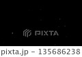 Looping motion graphic of white snowflakes or particles slowly falling down a black screen. 135686238