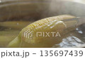 Close-up of corn pricked on a fork boiling in a saucepan to check for readiness 135697439