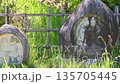 Azumino's roadside gods and watermills Spring in Shinshu, the original landscape of Japan 135705445