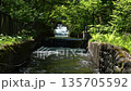 The clear waters and fresh greenery of the Karasugawa River main canal that flows through the Alps Azumino National Park in Azumino City, Nagano Prefecture 135705592