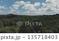 Drone photography of the forest 135718403