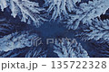 Aerial drone footage of a snow-covered spruce forest in winter with snowfall. The treetops form a peaceful white pattern under soft morning light, camera moving backward. 135722328