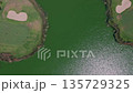 Aerial top-down view of golf course with green fairways and sand bunkers on both sides of a shimmering lake, framed by trees. Concept of sports landscape and harmony with nature 135729325