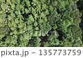 空撮　森林映像　下降 135773759