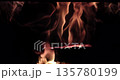 木柴爐裡搖曳的火焰 135780199