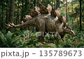 Image of the dinosaur era when Stegosaurus and Tyrannosaurus were herbivorous dinosaurs characterized by large bony plates on their backs and spines on their tails. 135789673