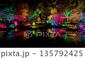 Amakusa Romantic Fantasy 135792425