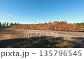 Huge pile of cut timber logs stacked at a forestry storage site with a wind turbine visible in the background 135796545