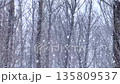 A serene and hazy winter scene of a dense forest during a heavy snowfall, with bare tree branches partially obscured by a thick veil of falling white snow and a monochromatic atmosphere. High quality 135809537