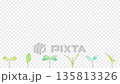 A fresh frame of various plants sprouting all at once. A watercolor animation with a transparent background. 135813326