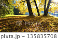 A walk through the wonderful autumn park. Slowmotion 135835708