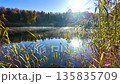 Beautiful lake in the autumn park. Slow motion. 135835709