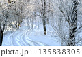 A winding snow-covered path showing tire tracks through a frozen park, where trees are heavily coated in white hoarfrost under soft, bright winter light, creating a serene, icy landscape. High quality 135838305