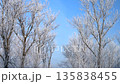 A tranquil winter scene featuring a narrow snow-covered road lined with tall trees heavily coated in white hoarfrost, leading through a silent, frozen park toward a distant village. High quality 4k 135838455