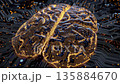 Motherboard pattern on human brain 135884670