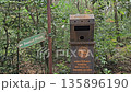 A forest signboard pointing toward Sunset Point stands beside a public dustbin, highlighting eco-tourism infrastructure in natural surroundings. 135896190