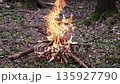 Captivating flames of a campfire rise gracefully from burning logs in a serene woodland setting 135927790