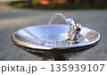 Drinking Fountain with Flowing Fresh Water Stream in Park 135939107