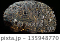 Motherboard pattern on human brain 135948770