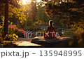 Back view of a woman is trying to meditate on a rock in the park 135948995