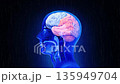 3D human brain anatomy illustration with binary data overlay representing artificial intelligence, neuroscience and medical technology 135949704