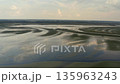 Water surface swampy plants drone view, Lake Tisza 135963243