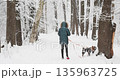 People are walking with dog in magical forest, the trees are covered with snow, it is snowing heavily in the park, large flakes of snow are slowly falling 135963725