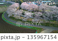 春季埼玉縣櫻花走廊鳥瞰圖，水沼稻田，片穀新田 135967154