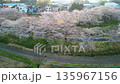 春季埼玉縣櫻花走廊鳥瞰圖，水沼稻田，片穀新田 135967156