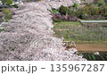 鳥瞰“埼玉縣”春天，水沼稻田的櫻花走廊 135967287
