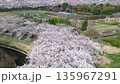 鳥瞰“埼玉縣”春天，水沼稻田的櫻花走廊 135967291