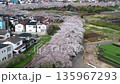 鳥瞰“埼玉縣”春天，水沼稻田的櫻花走廊 135967293