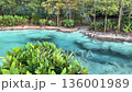 Clear turquoise water fills a shallow lagoon bordered by rocks and dense green plants. Trees and shrubs along the bank create a peaceful tropical garden scene. 136001989
