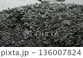 Snow Covered Bush with Continuous Falling Snowflakes Winter Background 136007824