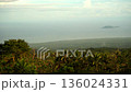 Picturesque Dense green tropical jungle, far in the background blue sea and low clouds 136024331