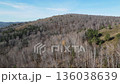 Aerial view of a mixed taiga forest on a hill, during late autumn with bare birch trees and green pines for nature and season concept. 136038639