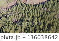 Aerial view of a vast mixed forest in Siberian taiga featuring green pine trees and bare birch trees in late autumn. 136038642