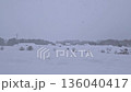 雪降る三内丸山遺跡（青森県・青森市） 136040417
