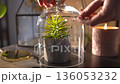 Woman's hands placing a necklace on a glass bell jar 136053232
