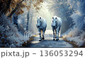 Two white horses walking down a path in the woods 136053294
