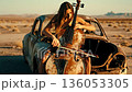 A woman sitting on top of an old car playing a cello 136053305