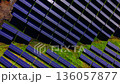 Detailed top-down aerial view of photovoltaic panels installed on a grassy slope. Vibrant green grass is visible between the blue panel modules. 136057877