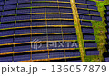 Straight down aerial view of multiple rows of solar panels divided by a dirt service path. Organization of the renewable energy facility. 136057879