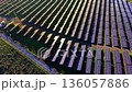 Aerial view of solar panel rows at sunset. Low angle golden sunlight with long shadows on the ground. Perspective view of energy field. 136057886