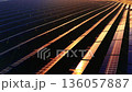 Aerial perspective of solar arrays during sunset. Golden light reflecting off the glass surface of the panels with high contrast shadows. 136057887