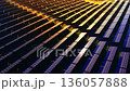 High angle view of solar panel installations organized in diagonal rows during sunset. Golden sunlight illuminating the edges of the frames. 136057888