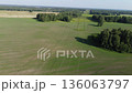 Drone view of countryside. Fields and forests in summer.  136063797